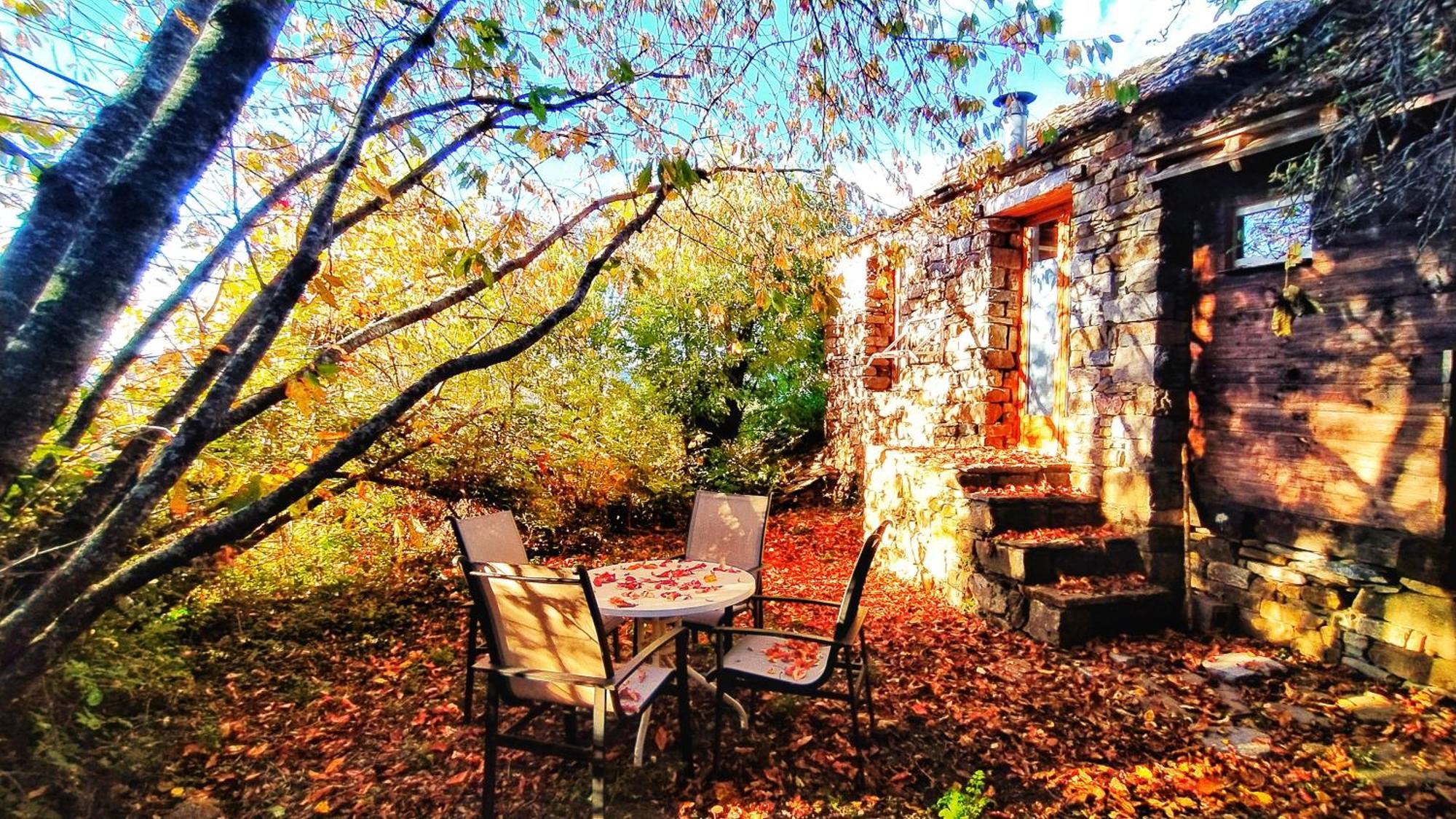 Vio Casa Rural Petricor, Ordesa المظهر الخارجي الصورة