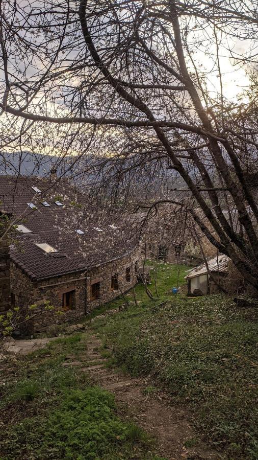 Vio Casa Rural Petricor, Ordesa المظهر الخارجي الصورة