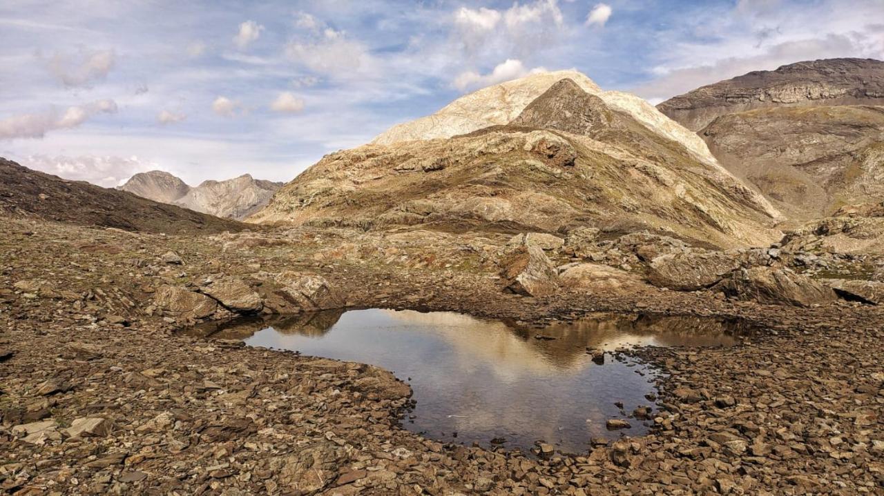 Vio Casa Rural Petricor, Ordesa المظهر الخارجي الصورة