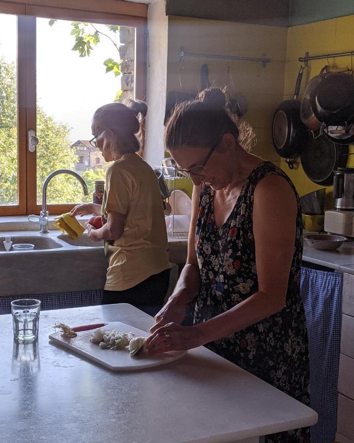 Vio Casa Rural Petricor, Ordesa المظهر الخارجي الصورة