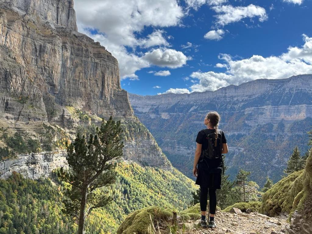 Vio Casa Rural Petricor, Ordesa المظهر الخارجي الصورة