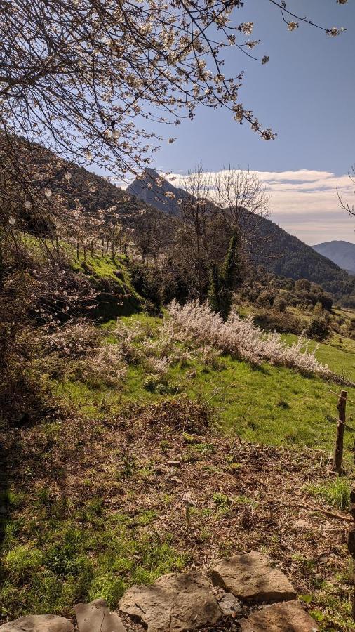Vio Casa Rural Petricor, Ordesa المظهر الخارجي الصورة